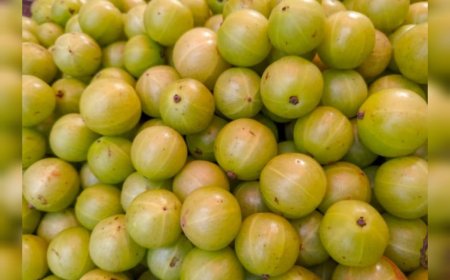 നെല്ലിക്ക: രോഗപ്രതിരോധത്തിന് കേമൻ, എന്നാൽ ഈ ഏഴ് കാര്യങ്ങൾ ശ്രദ്ധിക്കണം!