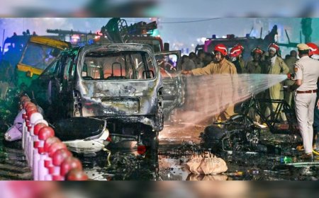 ചെങ്കോട്ട സ്ഫോടനം: സൈന്യം ഉപയോഗിക്കുന്ന രാസവസ്തുക്കൾ ഉപയോഗിച്ചു? അമോണിയം നൈട്രേറ്റിൻ്റെ സാന്നിധ്യം