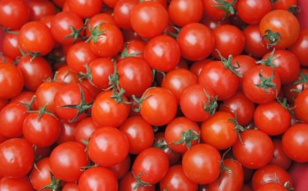 വിഷാദം അകറ്റാൻ ചുവന്ന പഴങ്ങൾ: ലൈക്കോപീൻ തലച്ചോറിൻ്റെ ആരോഗ്യം മെച്ചപ്പെടുത്തുമെന്ന് പഠനം