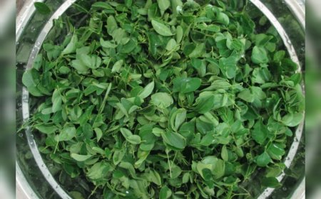 വിളർച്ച അകറ്റാൻ അയേൺ സമൃദ്ധമായ സസ്യാഹാരങ്ങൾ: ഡയറ്റിൽ നിർബന്ധമായും ഉൾപ്പെടുത്തേണ്ടവ