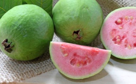 പേരയ്ക്ക: ഗുണങ്ങൾ ഏറെ, എന്നാൽ ചിലർക്ക് വില്ലനാകാം; ശ്രദ്ധിക്കേണ്ട കാര്യങ്ങൾ