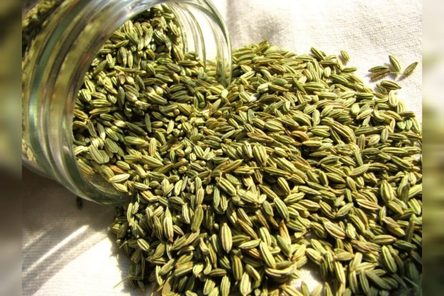 പെരുംജീരകം ഡയറ്റില്‍ ചേര്‍ക്കൂ, വൃക്കകളുടെ സംരക്ഷണത്തിന് ഉത്തമം