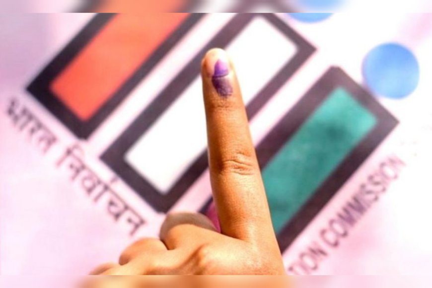 തദ്ദേശ തിരഞ്ഞെടുപ്പ്: ഹരിതചട്ടം കർശനമായി  പാലിക്കണം