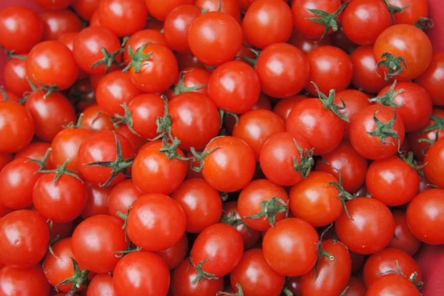 വിഷാദം അകറ്റാൻ ചുവന്ന പഴങ്ങൾ: ലൈക്കോപീൻ തലച്ചോറിൻ്റെ ആരോഗ്യം മെച്ചപ്പെടുത്തുമെന്ന് പഠനം