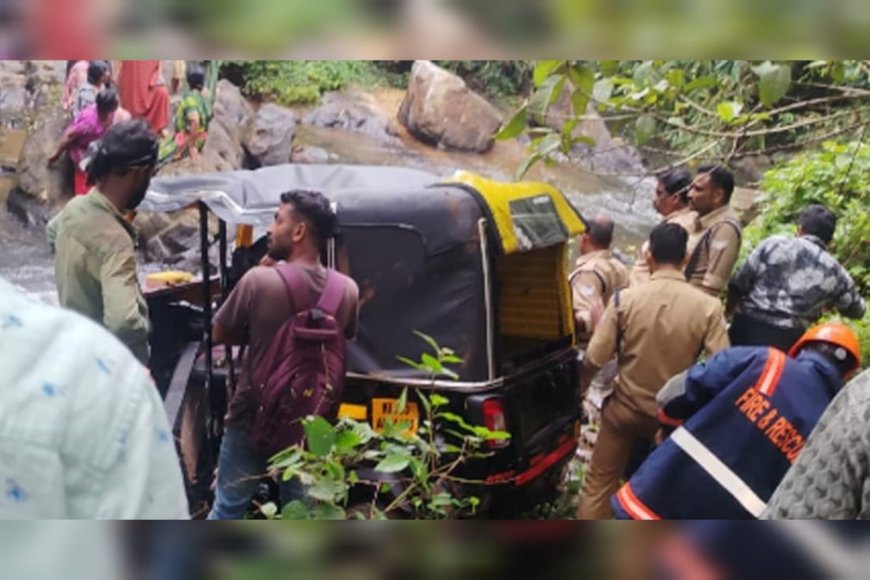 പാമ്പിനെ കണ്ട് വെട്ടിച്ച ഓട്ടോ തോട്ടിലേക്ക് മറിഞ്ഞു; രണ്ടു കുരുന്നുകൾക്ക് ദാരുണാന്ത്യം