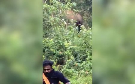 പുല്ലുമേട്ടില്‍ ഭക്തര്‍ക്കുനേരേ പാഞ്ഞടുത്ത് കാട്ടാന; ആനയ്ക്കടിയില്‍പ്പെട്ട തീര്‍ഥാടകന്‍ രക്ഷപ്പെട്ടത് അദ്ഭുതകരമായി 