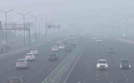 ഡൽഹിയിൽ ശ്വാസംമുട്ടി ജനജീവിതം: 50% ജീവനക്കാർക്ക് 'വർക്ക് ഫ്രം ഹോം'; നിയന്ത്രണങ്ങൾ കടുപ്പിച്ച് സർക്കാർ