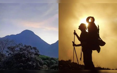 അഗസ്ത്യാർകൂടം ട്രെക്കിങ് ജനുവരി 14 മുതൽ ഫെബ്രുവരി 11 വരെ