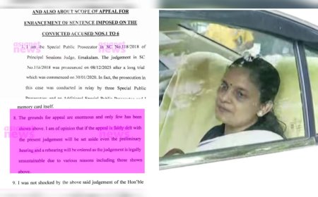 നടിയെ ആക്രമിച്ച കേസിൽ ഗുരുതര പരാമർശങ്ങളുമായി നിയമോപദേശം