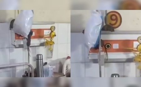 യു പിയിലെ സര്‍ക്കാര്‍ ആശുപത്രി കിടക്കയില്‍ രോഗികൾക്കൊപ്പം എലികൾ