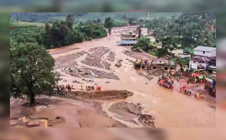 ചൂരൽമല, മുണ്ടക്കൈ ദുരന്തബാധിതർക്ക് തിരിച്ചടി; ധനസഹായം നിർത്തലാക്കി സർക്കാർ 