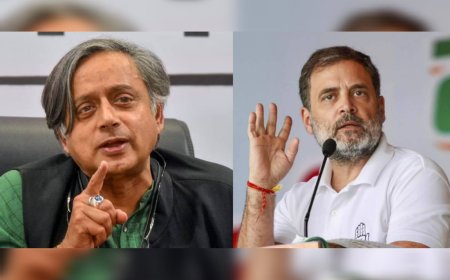 പാർട്ടിയുമായി ഒരു പ്രശ്നമില്ലെന്ന് ശശി തരൂർ;  രാഹുൽ ഗാന്ധിയുമായി കൂടിക്കാഴ്ച നടത്തി