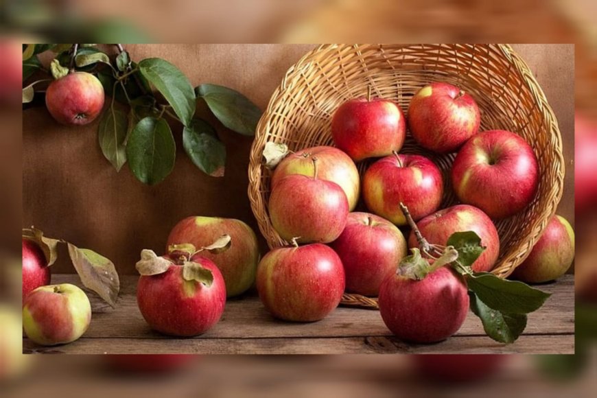 ആപ്പിൾ ശീലമാക്കുന്നവർ ശ്രദ്ധിക്കുക; പല്ലിന്റെ ആരോഗ്യം അപകടത്തിലായേക്കാം