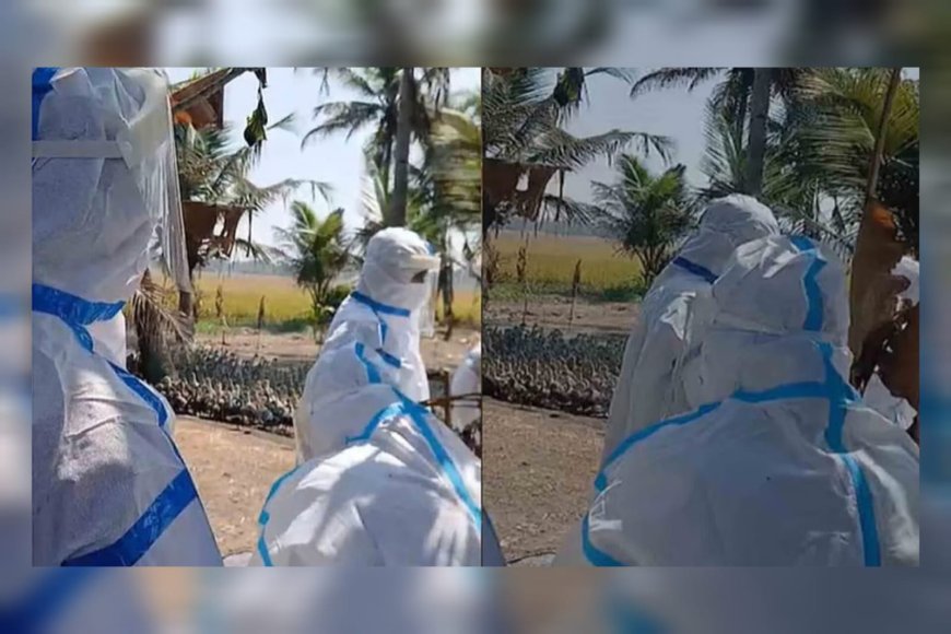 പക്ഷിപ്പനി: ആലപ്പുഴയിൽ 7,625 പക്ഷികളെ കൂടി കൊന്നൊടുക്കി; നഷ്ടപരിഹാരം വൈകുമെന്ന് ആശങ്ക