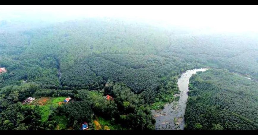 ശബരിമല വിമാനത്താവളം വീണ്ടും അനിശ്ചിതത്വത്തിൽ; ചെറുവള്ളി എസ്റ്റേറ്റ് സർക്കാർ ഭൂമിയല്ലെന്ന് കോടതി