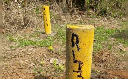 സിൽവർലൈൻ കുറ്റികൾ ഇനി നീക്കാം; സ്ഥലമേറ്റെടുക്കൽ വിജ്ഞാപനം റദ്ദായതോടെ ഭൂഉടമകൾക്ക് ആശ്വാസം