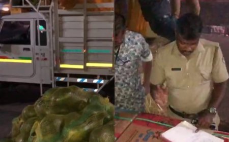 തമിഴ്നാട്ടിൽ നിന്നും തണ്ണിമത്തനടിയിൽ ഒളിപ്പിച്ച് സ്ഫോടകശേഖരം; പിക്കപ്പ് വാഹനത്തിന് അകമ്പടി വന്ന കാറിന്റെ ഡ്രൈവറും പിടിയിൽ