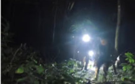 നിലമ്പൂരിലൂടെ യാത്ര ചെയ്ത ദമ്പതികളുടെ മുന്നിലേക്ക് എടുത്തുചാടി പുലി; സഡൻ ബ്രേക്കിട്ടതിനാൽ ഒഴിവായത് വൻ അപകടം