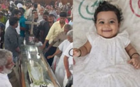 ആലിന് വിട; ഔദ്യോഗിക ബഹുമതികളോടെ സംസ്‌കാരം നടന്നു