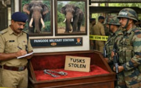 പാങ്ങോട് സൈനിക ക്യാമ്പിലെ ആനക്കൊമ്പ് മോഷണം; 20 പേരുടെ വിരലടയാളം ശേഖരിച്ചു
