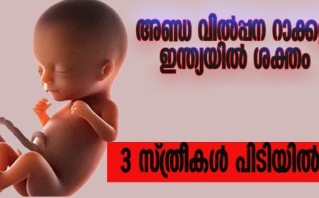 അണ്ഡ വില്‍പ്പന റാക്കറ്റ് ഇന്ത്യയില്‍ ശക്തം;3 സ്ത്രീകള്‍ പിടിയില്‍