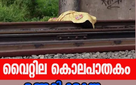 വൈറ്റില കൊലപാതകം;ഞെട്ടിക്കുന്ന പുതിയ വിവരങ്ങള്‍ പുറത്ത്