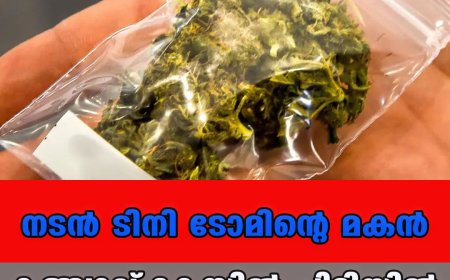 കഞ്ചാവ് കേസ്; നടന്‍ ടിനി ടോമിന്റെ മകന്‍ പിടിയിൽ