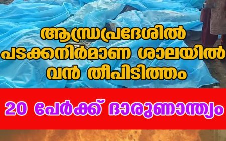 ആന്ധ്രപ്രദേശില്‍ പടക്കനിര്‍മാണ ശാലയില്‍ വന്‍ തീപിടിത്തം;20 പേര്‍ക്ക് ദാരുണാന്ത്യം