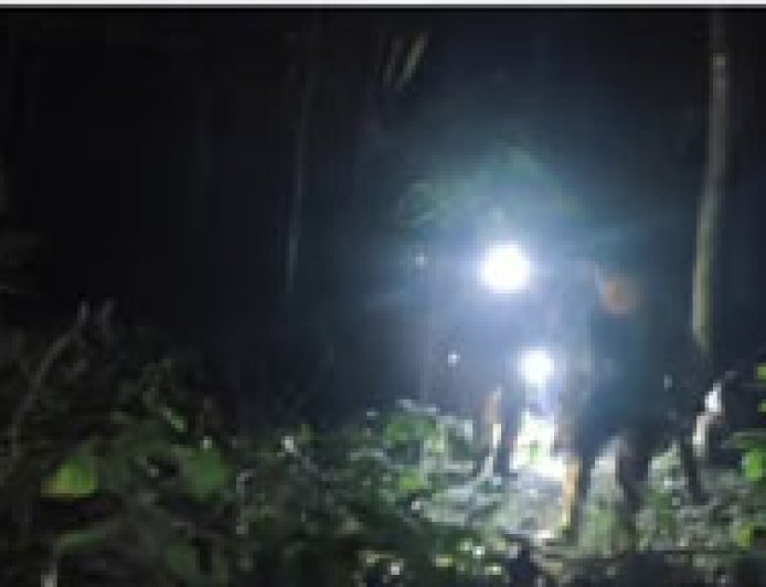 നിലമ്പൂരിലൂടെ യാത്ര ചെയ്ത ദമ്പതികളുടെ മുന്നിലേക്ക് എടുത്തുചാടി പുലി; സഡൻ ബ്രേക്കിട്ടതിനാൽ ഒഴിവായത് വൻ അപകടം