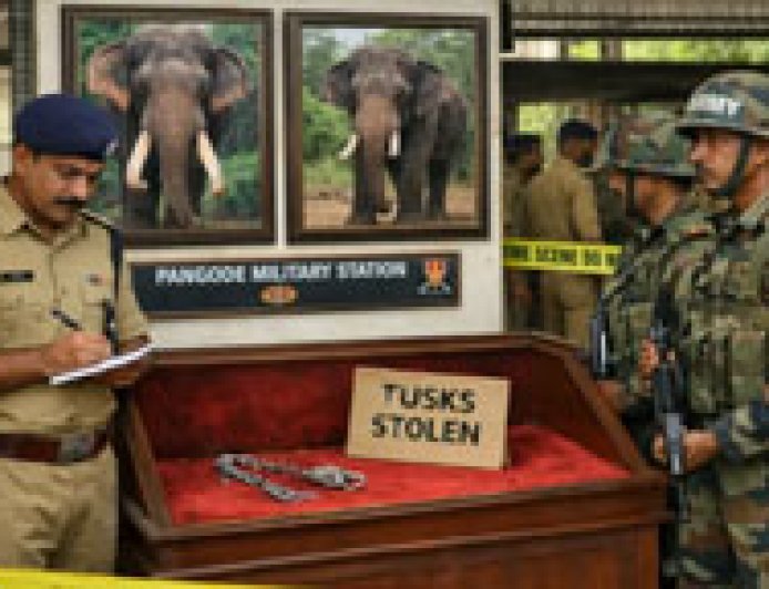 പാങ്ങോട് സൈനിക ക്യാമ്പിലെ ആനക്കൊമ്പ് മോഷണം; 20 പേരുടെ വിരലടയാളം ശേഖരിച്ചു