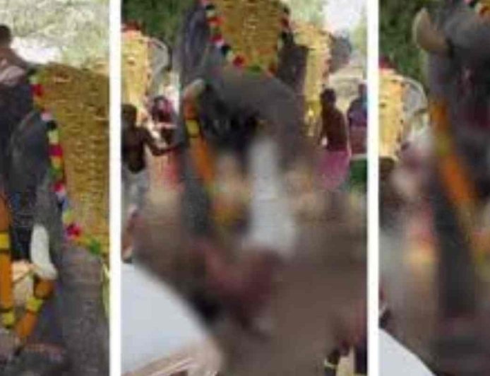 അന്നമനട ക്ഷേത്രത്തിൽ ആനയുടെ ആക്രമണം: യുവാവിന് ഗുരുതര പരിക്ക്