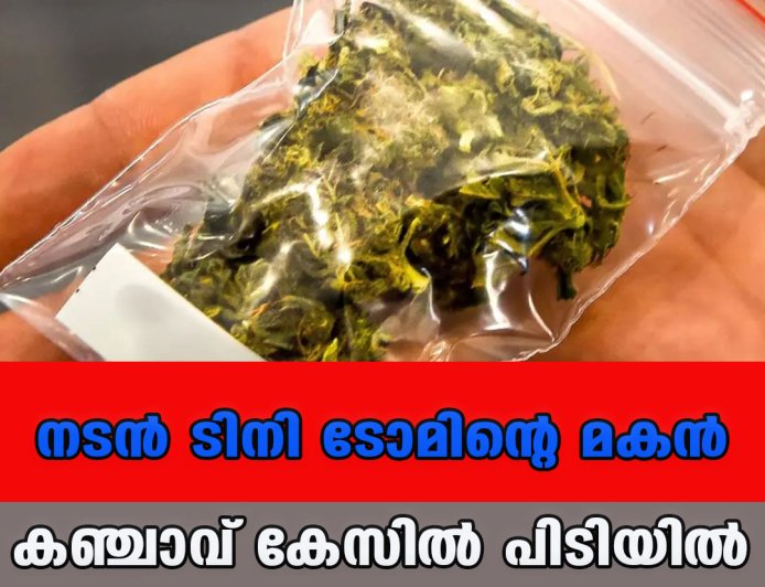 കഞ്ചാവ് കേസ്; നടന്‍ ടിനി ടോമിന്റെ മകന്‍ പിടിയിൽ