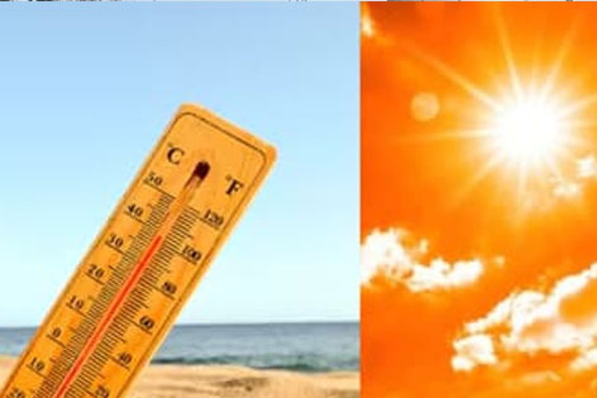 യു വി സൂചികയിൽ ഒന്നാമത് ഇടുക്കി; സംസ്ഥാനത്ത് ചൂട് കനക്കുന്നു, ഈ അഞ്ച് ജില്ലകൾക്ക് മുന്നറിയിപ്പ്