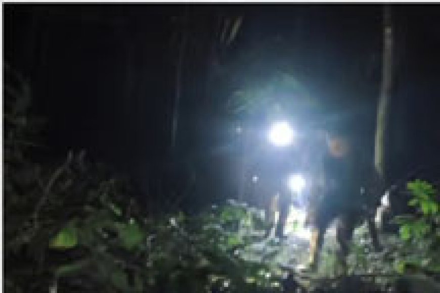 നിലമ്പൂരിലൂടെ യാത്ര ചെയ്ത ദമ്പതികളുടെ മുന്നിലേക്ക് എടുത്തുചാടി പുലി; സഡൻ ബ്രേക്കിട്ടതിനാൽ ഒഴിവായത് വൻ അപകടം