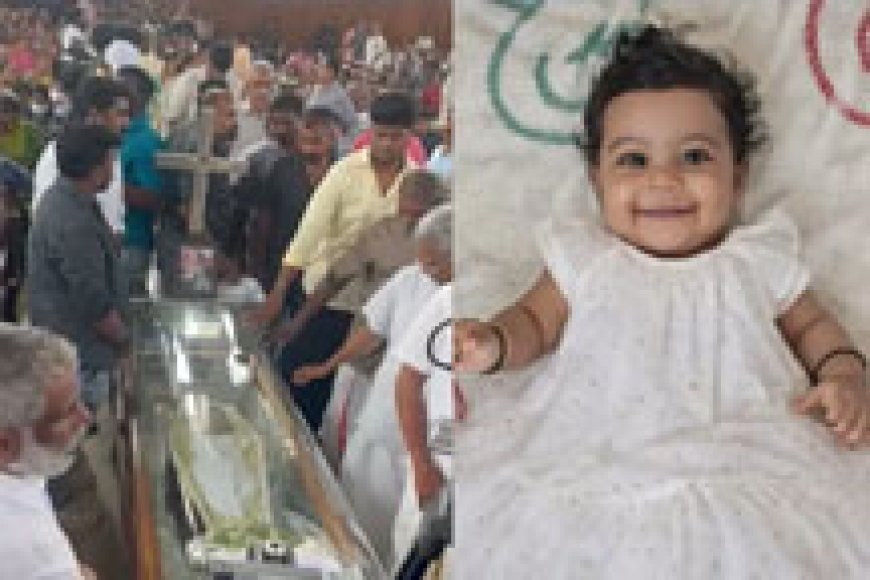 ആലിന് വിട; ഔദ്യോഗിക ബഹുമതികളോടെ സംസ്‌കാരം നടന്നു