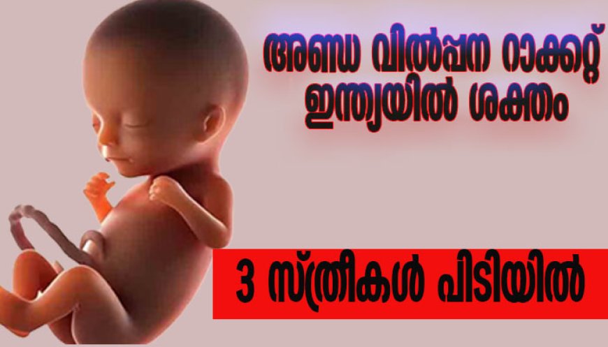 അണ്ഡ വില്‍പ്പന റാക്കറ്റ് ഇന്ത്യയില്‍ ശക്തം;3 സ്ത്രീകള്‍ പിടിയില്‍