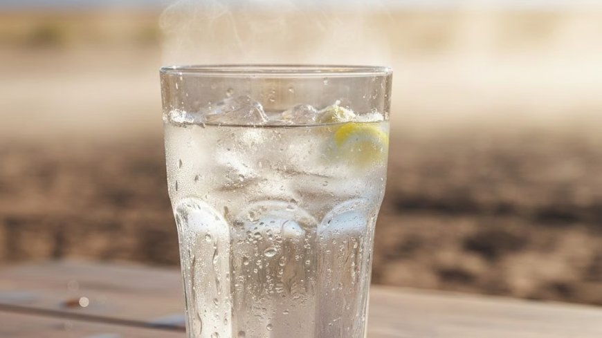 വേനൽച്ചൂടിൽ സോഫ്റ്റ് ഡ്രിങ്ക്സ് വില്ലനാകുമോ? ദാഹം മാറ്റാൻ വെള്ളം മാത്രം മതിയോ? അറിയേണ്ട കാര്യങ്ങൾ
