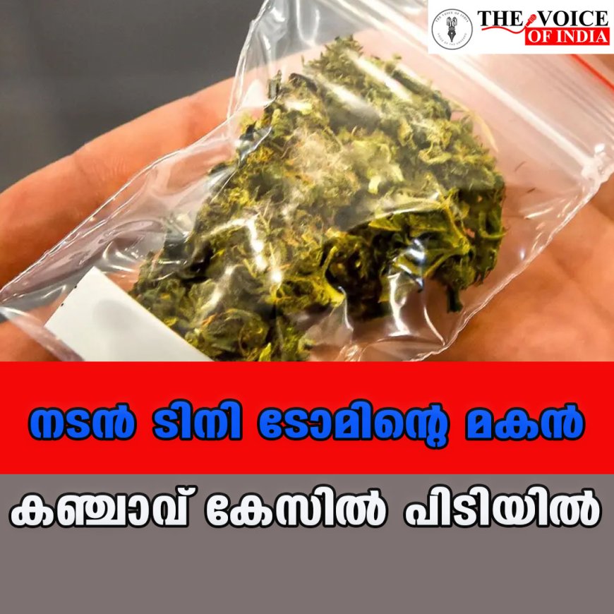 കഞ്ചാവ് കേസ്; നടന്‍ ടിനി ടോമിന്റെ മകന്‍ പിടിയിൽ