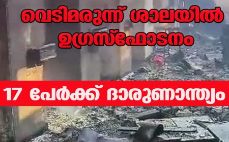 വെടിമരുന്ന് ശാലയിൽ ഉഗ്ര സ്ഫോടനം; 17 പേർക്ക് ദാരുണാന്ത്യം