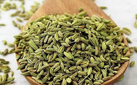 രുചി മാത്രമല്ല, ആരോഗ്യവും; ദഹനപ്രശ്നങ്ങൾക്കും വായ്നാറ്റത്തിനും പരിഹാരമായി പെരുംജീരകം; അറിയാം ഗുണങ്ങൾ