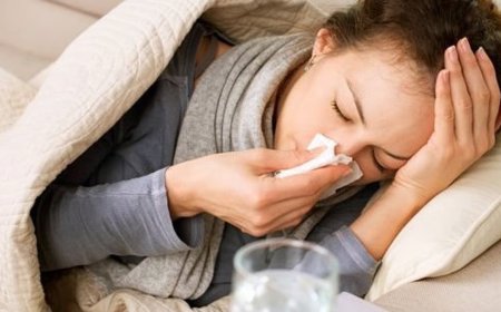 പതിവായ ജലദോഷവും പനിയും അലട്ടുന്നുണ്ടോ? പ്രതിരോധശേഷി വർദ്ധിപ്പിക്കാൻ ഭക്ഷണത്തിൽ ഇവ ഉൾപ്പെടുത്താം