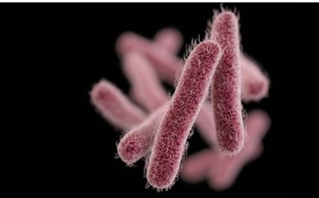 കോഴിക്കോട് ഷിഗല്ലയും പക്ഷിപ്പനിയും പടരുന്നു; 51 പേർ നിരീക്ഷണത്തിൽ; കടുത്ത നിയന്ത്രണങ്ങളുമായി ആരോഗ്യവകുപ്പ്