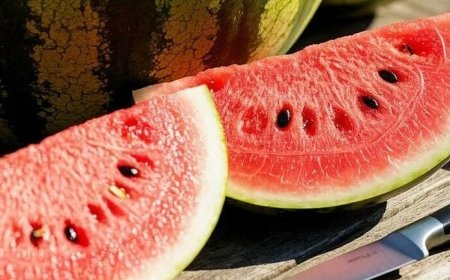 പ്രമേഹരോഗികൾക്ക് തണ്ണിമത്തൻ കഴിക്കാമോ? മിതമായ അളവിൽ സുരക്ഷിതം ശ്രദ്ധിക്കേണ്ട കാര്യങ്ങൾ അറിയാം