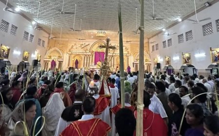 ഇന്ന് ഓശാന ഞായർ; വിശുദ്ധ വാരത്തിന് തുടക്കം; പള്ളികളിൽ കുരുത്തോല പ്രദക്ഷിണവും പ്രത്യേക കുർബാനയും