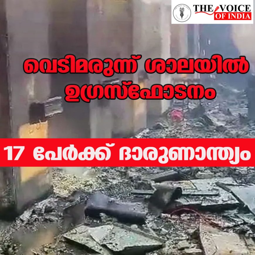 വെടിമരുന്ന് ശാലയിൽ ഉഗ്ര സ്ഫോടനം; 17 പേർക്ക് ദാരുണാന്ത്യം