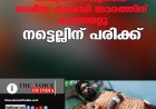 തിരുവനന്തപുരത്ത് ദേശീയ കബഡി താരത്തിന് കുത്തേറ്റു; നട്ടെല്ലിന് പരിക്ക്