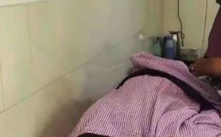 ഇടുക്കിയിൽ ഏലത്തോട്ടത്തിൽ കടന്നൽ ആക്രമണം; കർഷകൻ മരിച്ചു