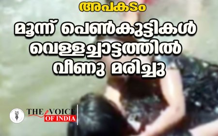 സെല്‍ഫിയെടുക്കുന്നതിനിടെ അപകടം;മൂന്ന് പെണ്‍കുട്ടികള്‍ വെള്ളച്ചാട്ടത്തില്‍ വീണു മരിച്ചു