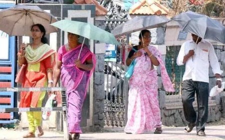 കേരളത്തിൽ തിങ്കളാഴ്ച വരെ കടുത്ത ചൂട് തുടരും; 12 ജില്ലകളിൽ ജാഗ്രതാ നിർദ്ദേശം; പാലക്കാട് താപനില 40 ഡിഗ്രിയിലേക്ക്