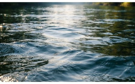 നാദാപുരത്ത് പുഴയിൽ വീണ കുട്ടിയെ രക്ഷിക്കാൻ ശ്രമിക്കുന്നതിനിടെ ദമ്പതികളടക്കം മൂന്ന് പേർ മുങ്ങിമരിച്ചു